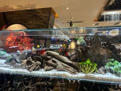 -红辣椒·川菜·火锅(大洋中心店)