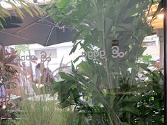 -gaga(深圳南山益田假日广场店)