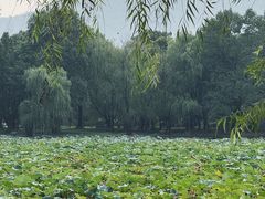 -天下玉苑