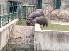 -哈尔滨北方森林动物园