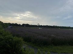 -上海杨姆庄园