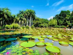 -中国科学院西双版纳热带植物园