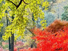 -岳麓山风景名胜区