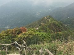 -梧桐山风景名胜区