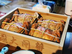 -黄记大闸蟹专卖店·活蟹·醉蟹