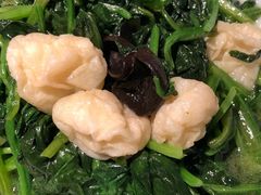-東大方(武康千秋广场店)
