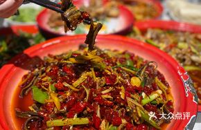 Spicy Squid Ring