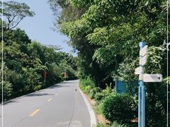 -东澳岛