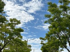 -南汇新城城市公园
