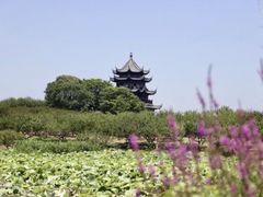 -上海海湾国家森林公园