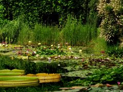 -国家植物园南园