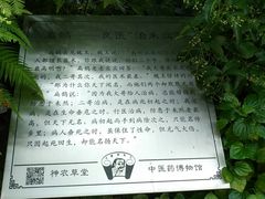 -广州神农草堂中医药博物馆