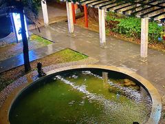 -罗浮山嘉宝田森林温泉度假酒店