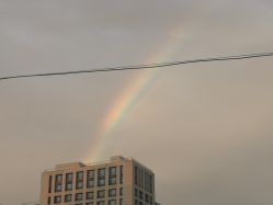 -薇兰专业脱毛连锁机构