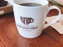 -喜马拉雅森HIMALAYAN FOREST