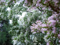-国家植物园