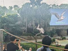 -新加坡飞禽公园