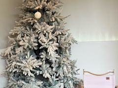 二楼圣诞树-J Create城市露营咖啡·简餐·宠物(上海动物园店)