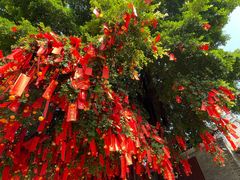 -佛山市祖庙博物馆
