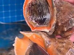 -喜来酌海鲜·饺子(和平一店)