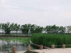 -绿堤公园
