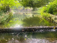 -成都市活水公园