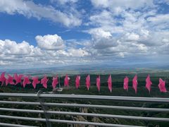 -苏木山森林公园