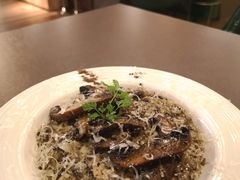-Oasis Bar & Grill