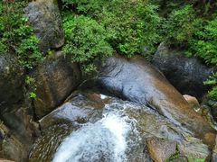 -芦芽山旅游度假区