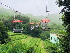 -青岛中山公园-索道售票处