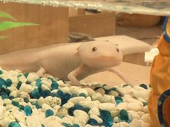 -御海8号温泉酒店