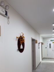 -北京京通医院医疗美容