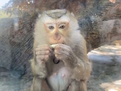 -泉州海丝野生动物世界