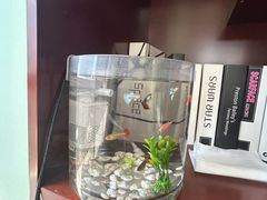 -猫头鹰照相馆(国贸店)