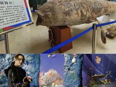 -刘家湾赶海园
