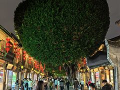 -麦当劳(南后街店)