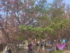 -大连植物园