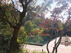 -和顺柏联温泉