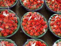 -西郊国际农产品交易中心