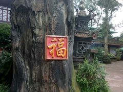 -峨眉山报国寺