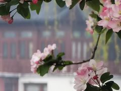 -莫愁湖公园