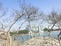 -美兰湖景区