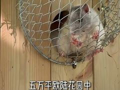 -青岛鑫江温德姆酒店