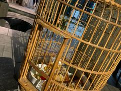 鸟笼里的鸡-花溪雨·森林餐厅(石基店)