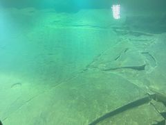 -白鹤梁水下博物馆