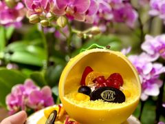 -COVA(新天地Xintiandi店)