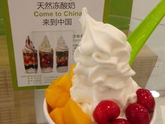 大杯-Salud撒露欧洲冻酸奶(蓝色港湾店)