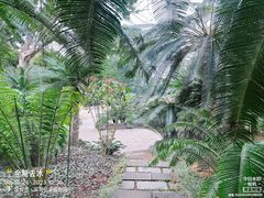 -深圳仙湖植物园