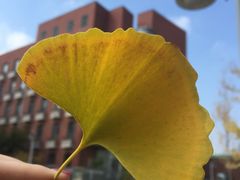 -大连理工大学(凌水校区)