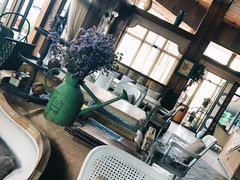 -一棵树·意大利西餐厅One Tree(新城店)